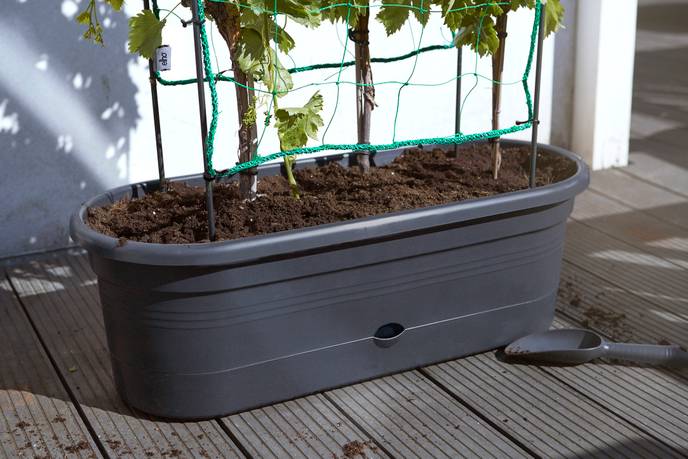 green basics jardiniere treillis 80cm living noir